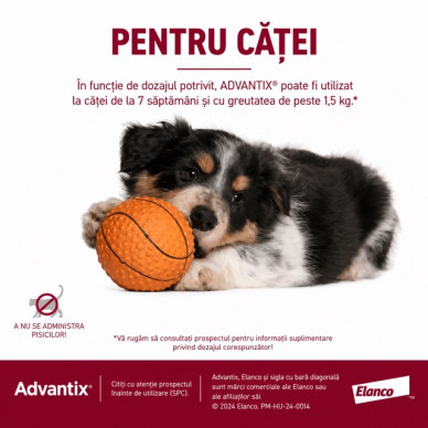 Advantix – Pipetă Repelentă pentru Câini 1,5–4 kg (Deparazitare Externă, Elanco)